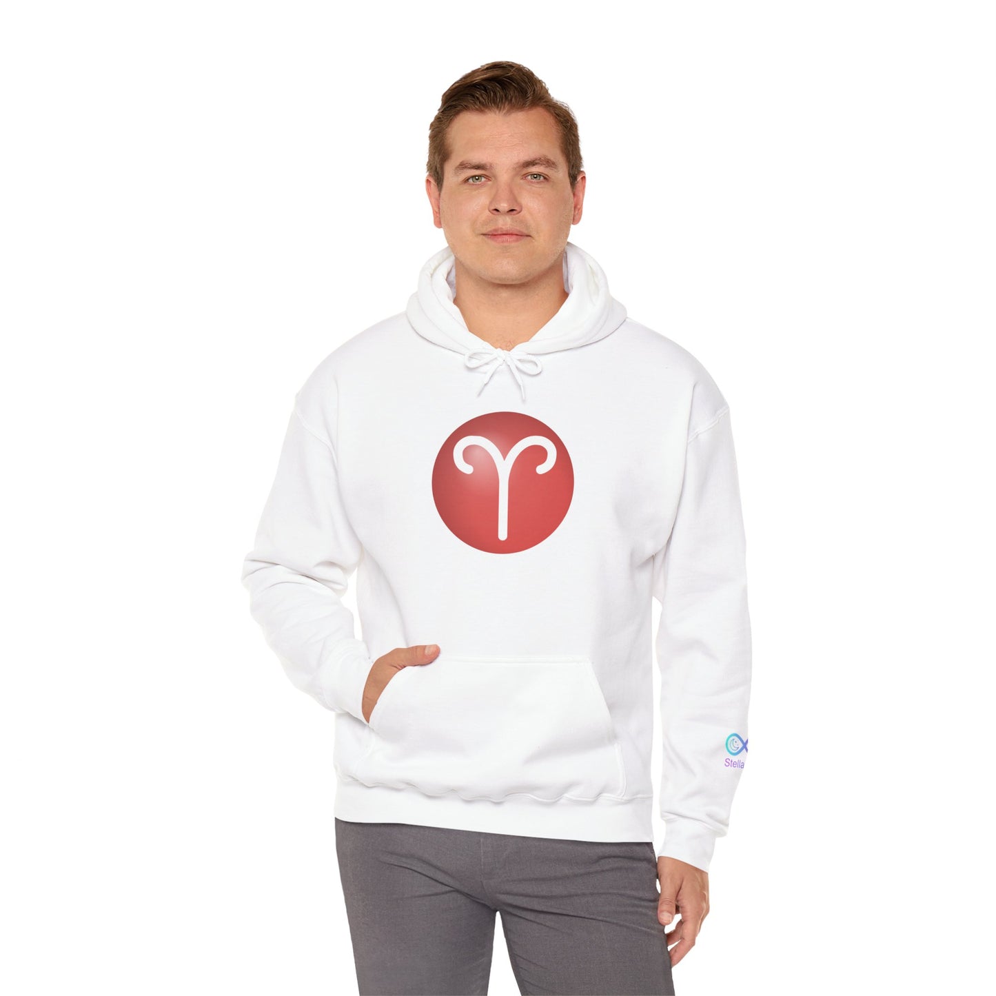 Unisex Aries Zodiac Hoodie — Astrology Glyph Pullover