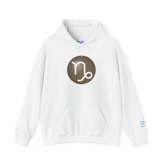 Unisex Capricorn Zodiac Hoodie – Astrology Glyph Pullover