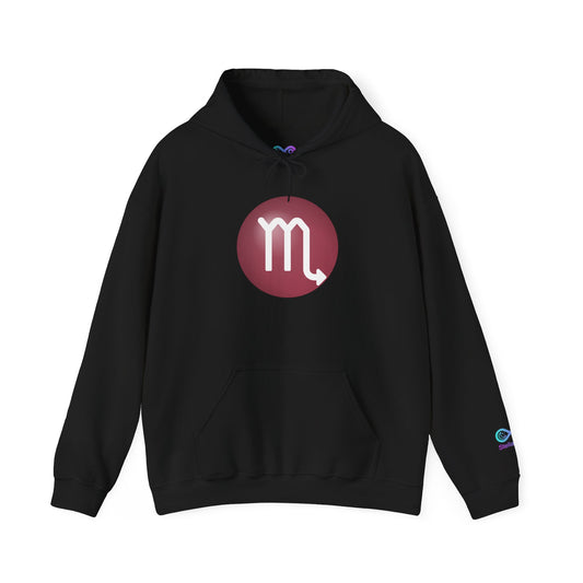 Unisex Scorpio Zodiac Hoodie – Astrology Glyph Sweatshirt