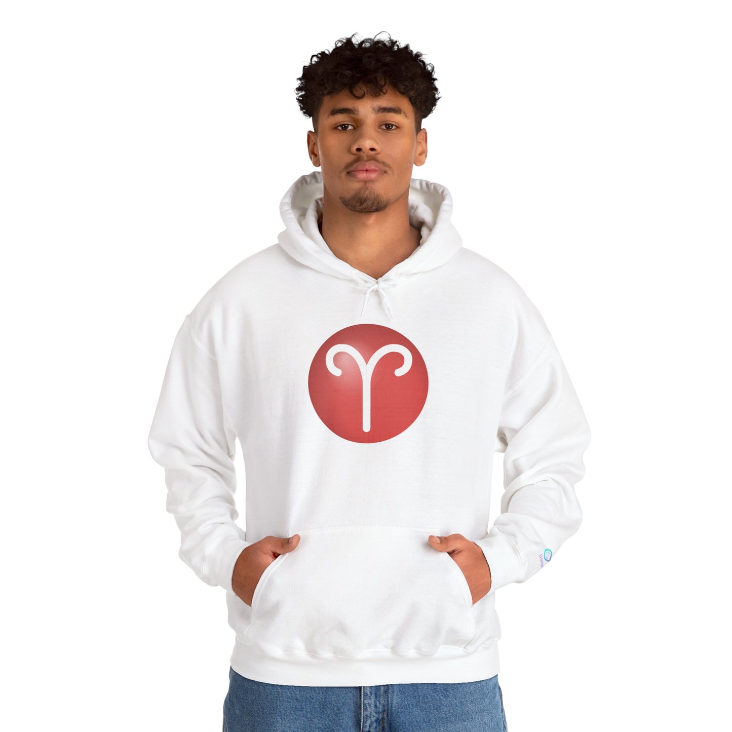 Unisex Aries Zodiac Hoodie — Astrology Glyph Pullover